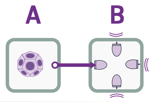 find out how NoiseLab can help you 